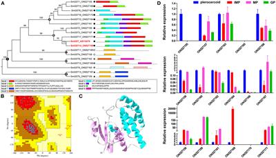 Molecular characteristics of glutathione transferase gene family in a neglect medical Spirometra tapeworm